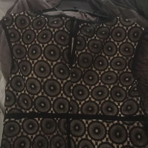 NEW Laundry by Shelli Segal Lace Sheath Dress 8 - Picture 7 of 8